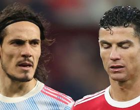 明星美圖—張鈞甯