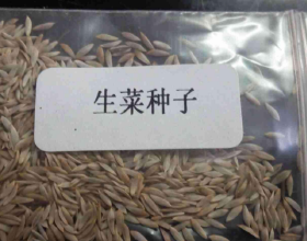 聯合國工業發展組織新任總幹事支援全球發展倡議