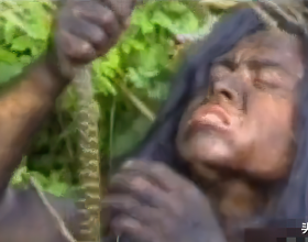 高新區：工業引領高質量發展 共建共享高品質生活