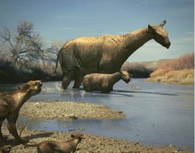 史前巨獸爭霸賽：誰才是陸地最大哺乳動物？