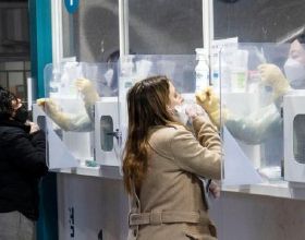 甄嬛傳拽姐表情包