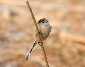 投資好機會——房地產