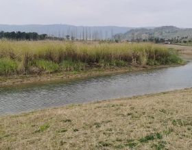 趁著春節換手機的別急，先看看這三款公認的真香機，全方位無短板