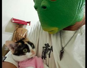 網友戴著面具抱著貓，它並不害怕甚至想吃一口：我該從哪裡下嘴？