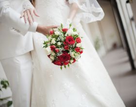 靈鵲抗疫不缺席