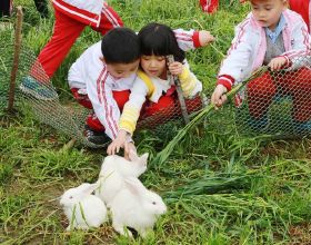 明月換面板真會玩，紫染看得居然是秦時明月，有多少人是想歪了？