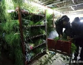 定製快訊｜全友家居遭投訴