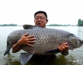 公益互助結伴自駕朋友圈：「趣相投遊全球」之前世今生未來（一）