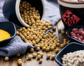 老兵的榮譽——我的爸爸左成芝軍旅印記