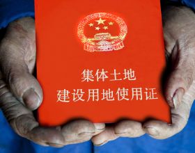 6種漂亮花&OpenCurlyDoubleQuote;不吉利&rdquo;，講究人一般不養，但是太漂亮，看著就喜歡