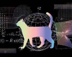 舌尖上的科學控鹽