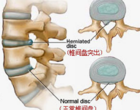 世界盃資格賽法國女籃輸中國33分，賽中被打出16：0 跌破眾人眼鏡