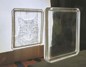 透明瓷磚上“乍現”的貓