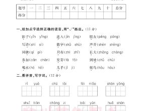 輔助上榮耀，我成功了，你成功了嗎？