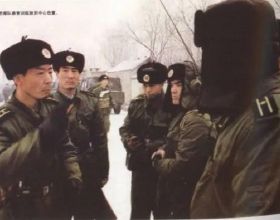 蒙嘉慧：原生家庭坎坷，40歲嫁給鄭伊健選擇丁克，48歲依舊很美