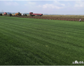 年輕人最愛的經典vanlife佈局，簡約設計，時尚裝飾