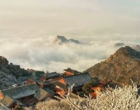 憐憫阿富汗的悲慘，感慨我國絕境重生的艱幸