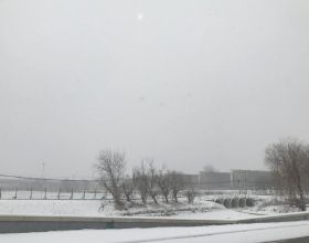 企叮咚集團董事長王一帆做客山東廣播電視臺《為你而來》直播間