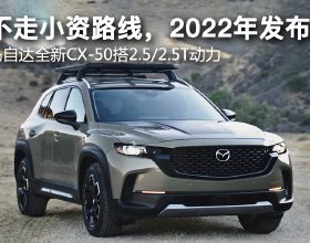 王二妮：23歲成名，放棄百萬年薪下嫁農村，婆婆的態度讓她不後悔