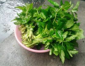 寄宿真實入住對比