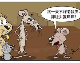 你以為在村裡住著就是村裡的人，就能享受拆遷補償？