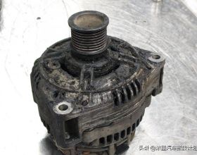 吃蛋白粉真的傷肝、腎？如何科學吃蛋白粉？