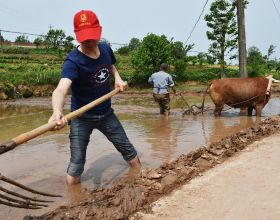 購物技巧之如何選購防盜門