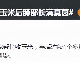 2022款江鈴域虎7正式上市 售價10.48-14.83萬元