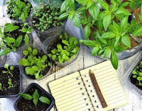 快訊！俄媒：&OpenCurlyDoubleQuote;頓涅茨克人民共和國&rdquo;領導人簽署總動員令，號召抵抗&OpenCurlyDoubleQuote;侵略&rdquo;