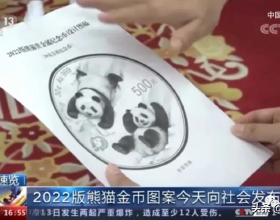 2022年版“熊貓幣”圖稿公佈，網友：熊孩子都會打雪仗了