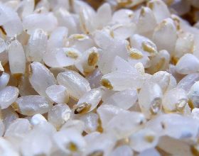 胚芽米和糙米的區別，胚芽米的營養價值遠遠大於普通精白米