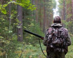 註冊狩獵愛好者高達1200萬人 有執照者不到10%，法國不顧非議啟動狩獵季