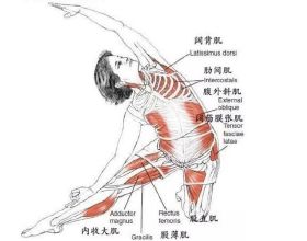 推薦1個基礎瑜伽動作，經常練習側腰線條會變得緊緻又漂亮
