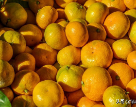 買橘子，記得選“母”的！掌握4個技巧，橘子皮薄甜度高，汁水多