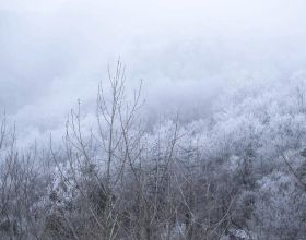 姜雲升浪漫主義2&period;0還不如1&period;0，JD新歌我三十秒不到就關了