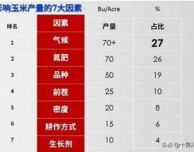 紅星照耀中國——作者：埃德加 斯諾