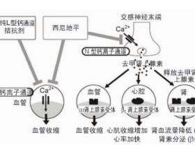 首部稅務經偵題材劇集《大河之水》即將開機，看到女主是她期待了