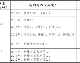 阿迪達斯ADISTAR跑鞋，革新保護與支撐​，探索長距離慢跑的樂趣