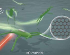中國科學家成功研發仿水黽微型機器人 實現微型機器人在水面遊動、跳躍、翻滾
