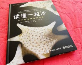 日本搖骨盆，每天5分鐘，相當於跑步30分鐘，開啟腹部筋節