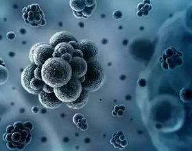 焉栩嘉同回家中女子疑似張子楓！妹妹快跑