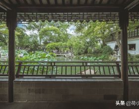 爸爸媽媽，我有錢