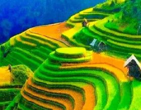 貼好一片磚