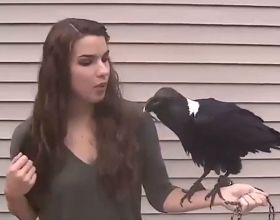 由於晶片短缺，福特將暫停或削減其8家工廠的產量