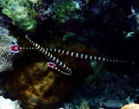 進藏都需要準備些什麼呢？為你準備好了清單，建議點贊收藏