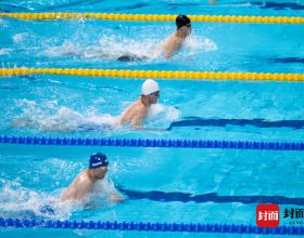 全運會游泳專案開賽 張雨霏汪順等奧運冠軍強勢亮相