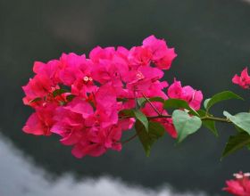 居民存款被“鎖死”？3月1日起，個人存取現金將全部按“新規”來