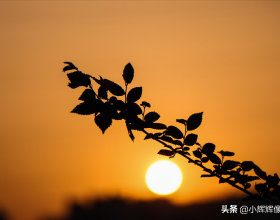 文獻分享｜Nature｜透過手寫實現高效能的腦-文字通訊