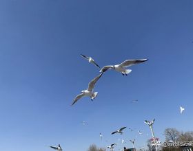 飛機上這3樣服務都&OpenCurlyDoubleQuote;免費&rdquo;，乘客不要求，空姐是不會主動給的