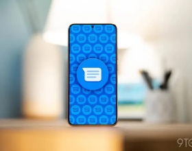 東北虎現身小興安嶺，直接進入冬眠地洞，把200斤的黑熊拖了出來